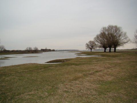 Balta Coziei ... in urma inundarii luncii