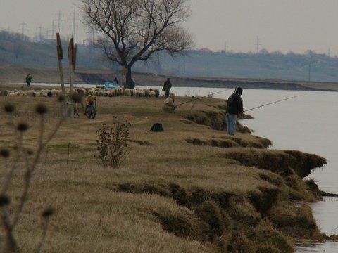 Malul in dreptul cazematelor ... apa crescuta pana sus in margine ... wow .. daca ai vedea vara ca malu in jos are vreo 10 m ... pana la plaja :)