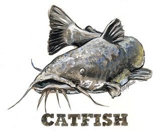 catfish_2Dlarge_small.jpg