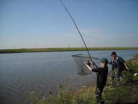 Party Cup Hobaia 2010 (140).jpg