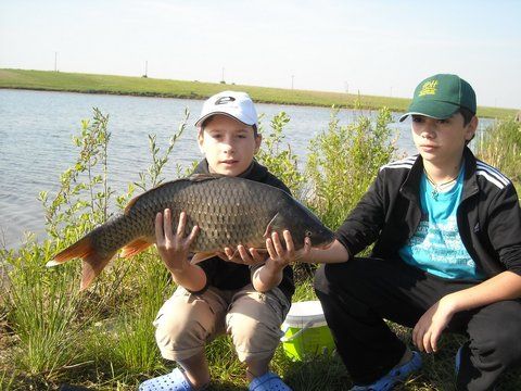 Party Cup Hobaia 2010 (136).jpg