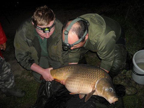 Party Cup Hobaia 2010 (117).jpg