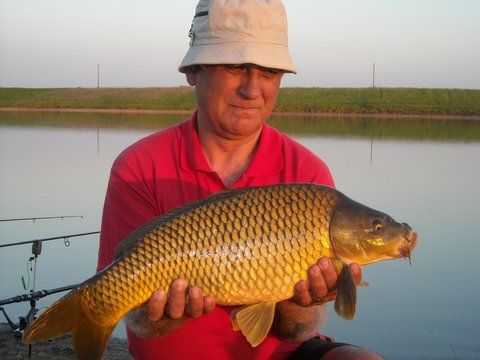 Party Cup Hobaia 2010 (103).jpg