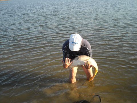 Party Cup Hobaia 2010 (90).jpg