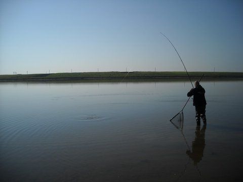 Party Cup Hobaia 2010 (30).jpg