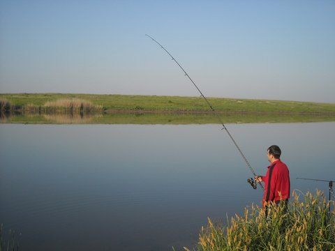 Party Cup Hobaia 2010 (6).jpg