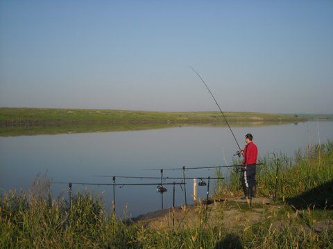 Party Cup Hobaia 2010 (5).jpg