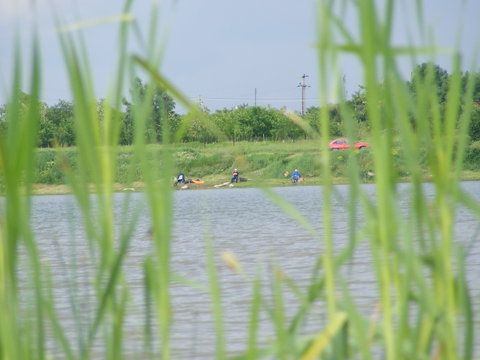 Pescari amatori la orizont