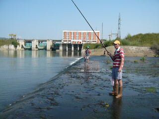 pesuit Arpasu 031.jpg