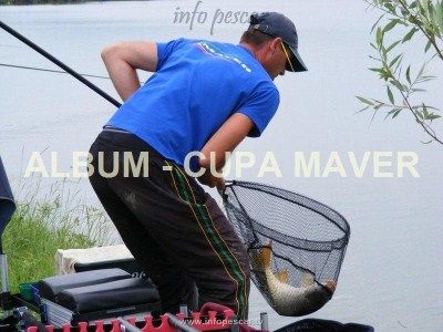 Cupa MAVER.jpg