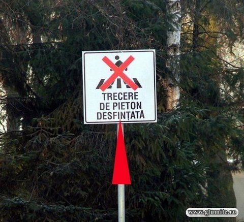 ortografia omoara romanul