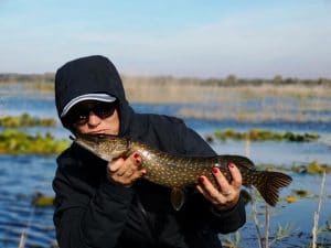 Delta Dunării - pescuit la știucă